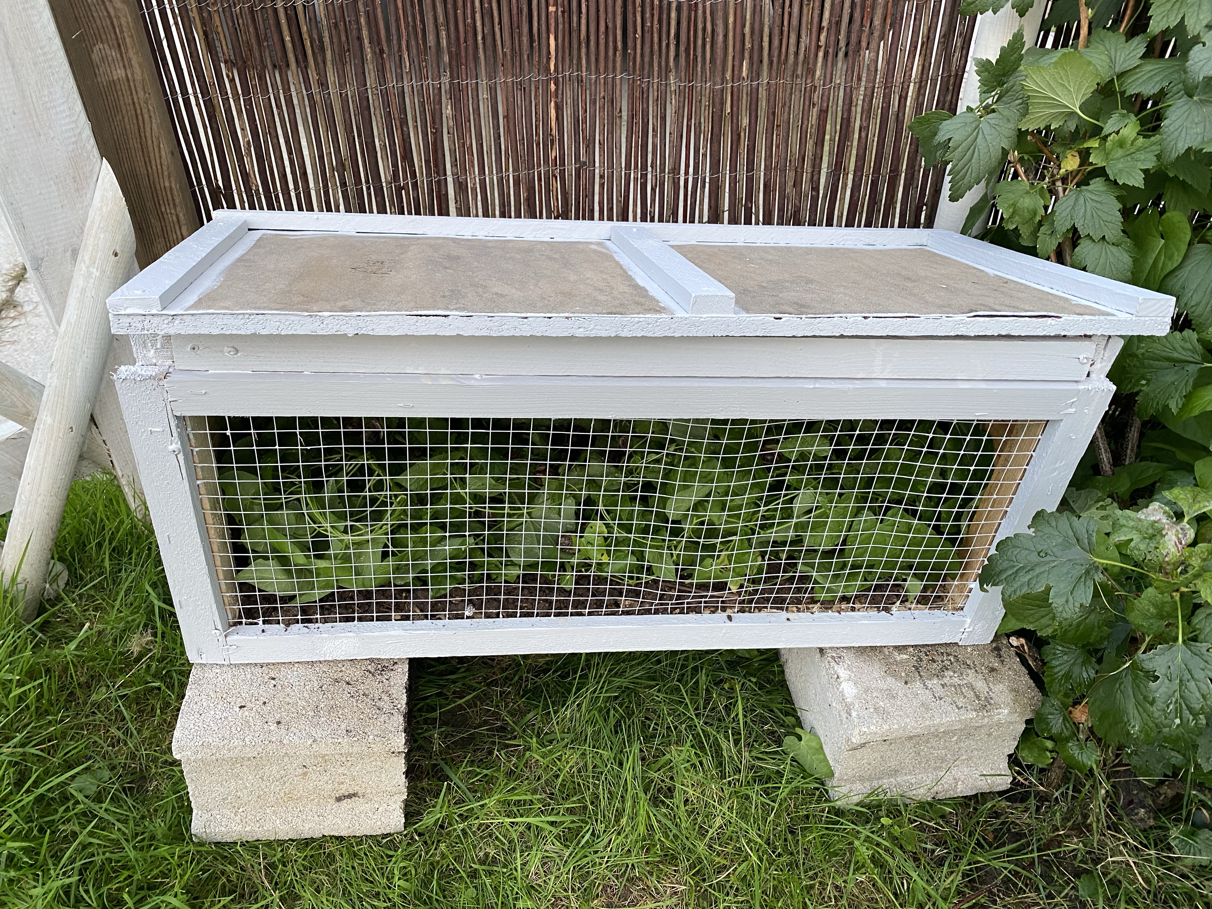 Élevage d’escargots