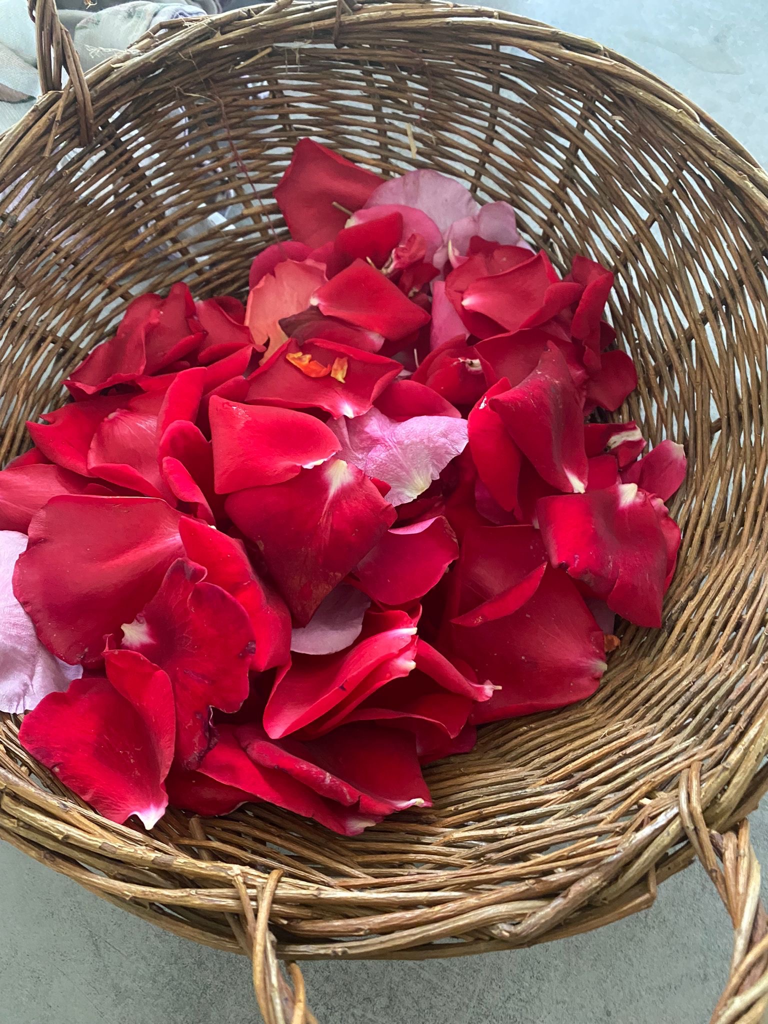 Se nourrir gratuitement ép 3