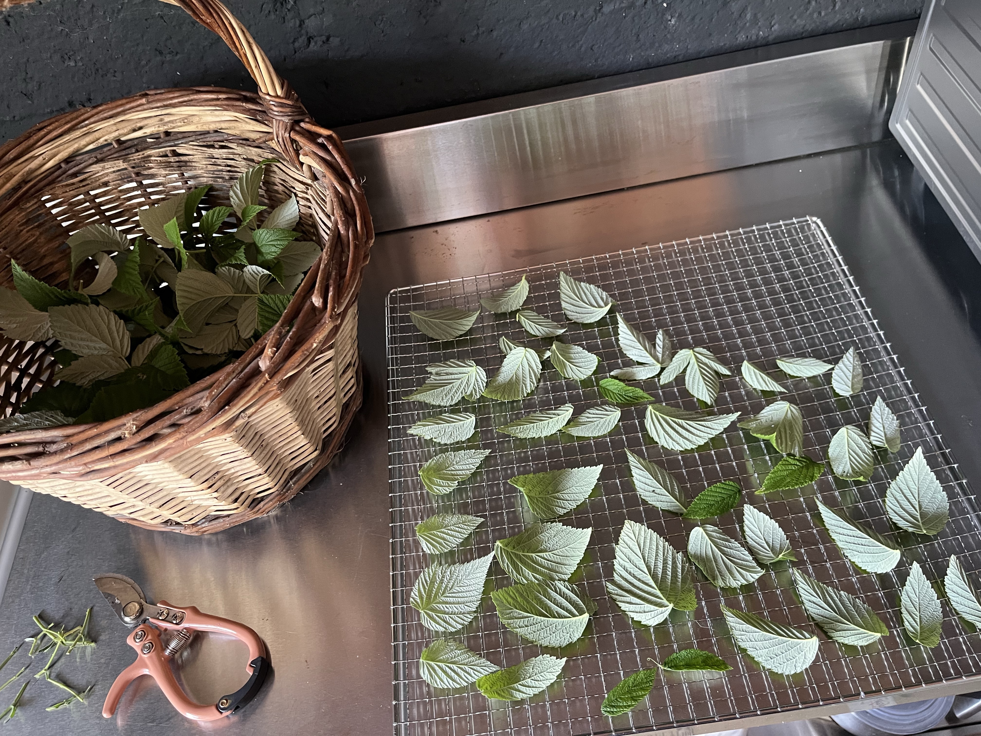 Fabriquer votre anti douleur